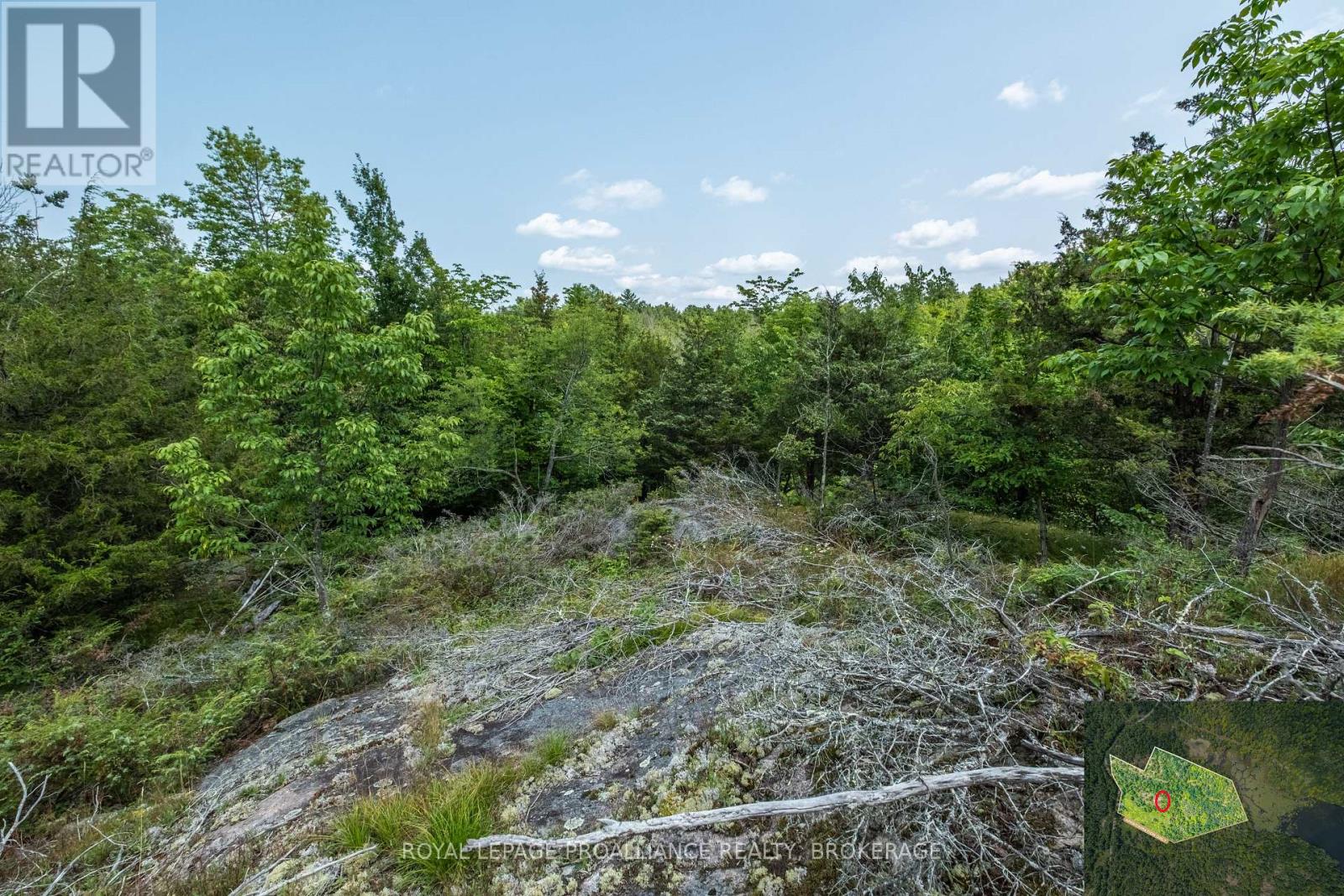 Lot 11 Ritz Road, Rideau Lakes, Ontario  K0G 1E0 - Photo 18 - X11928845