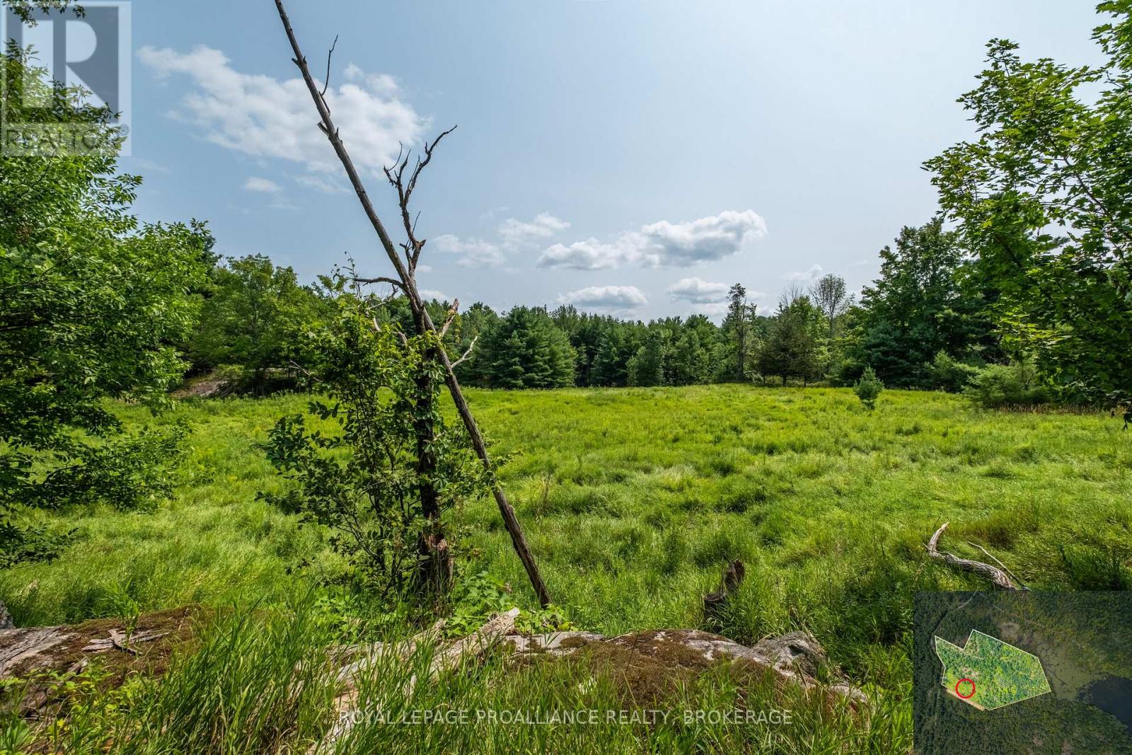 Lot 11 Ritz Road, Rideau Lakes, Ontario  K0G 1E0 - Photo 19 - X11928845