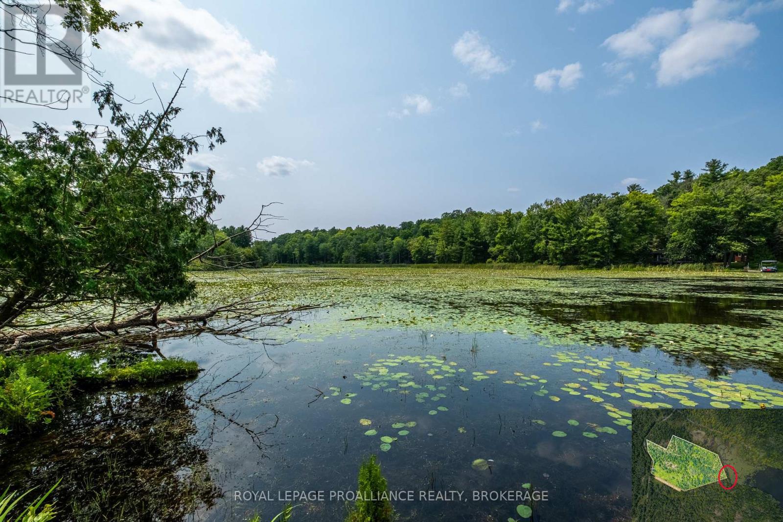 Lot 11 Ritz Road, Rideau Lakes, Ontario  K0G 1E0 - Photo 25 - X11928845