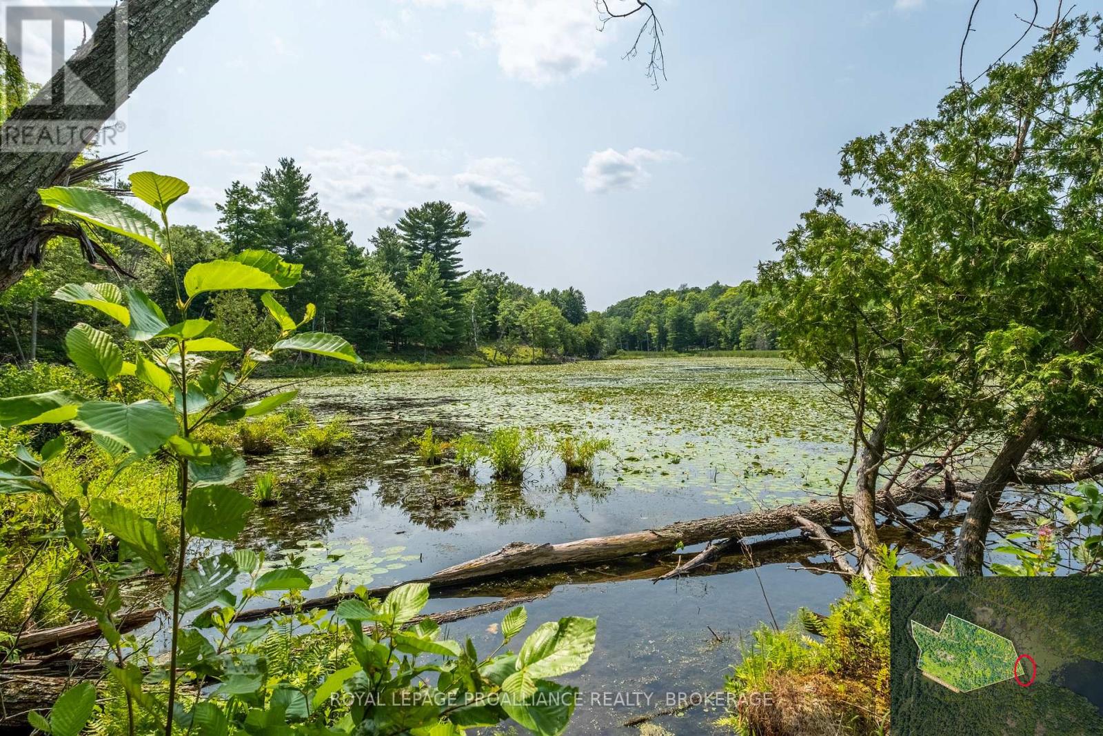 Lot 11 Ritz Road, Rideau Lakes, Ontario  K0G 1E0 - Photo 26 - X11928845