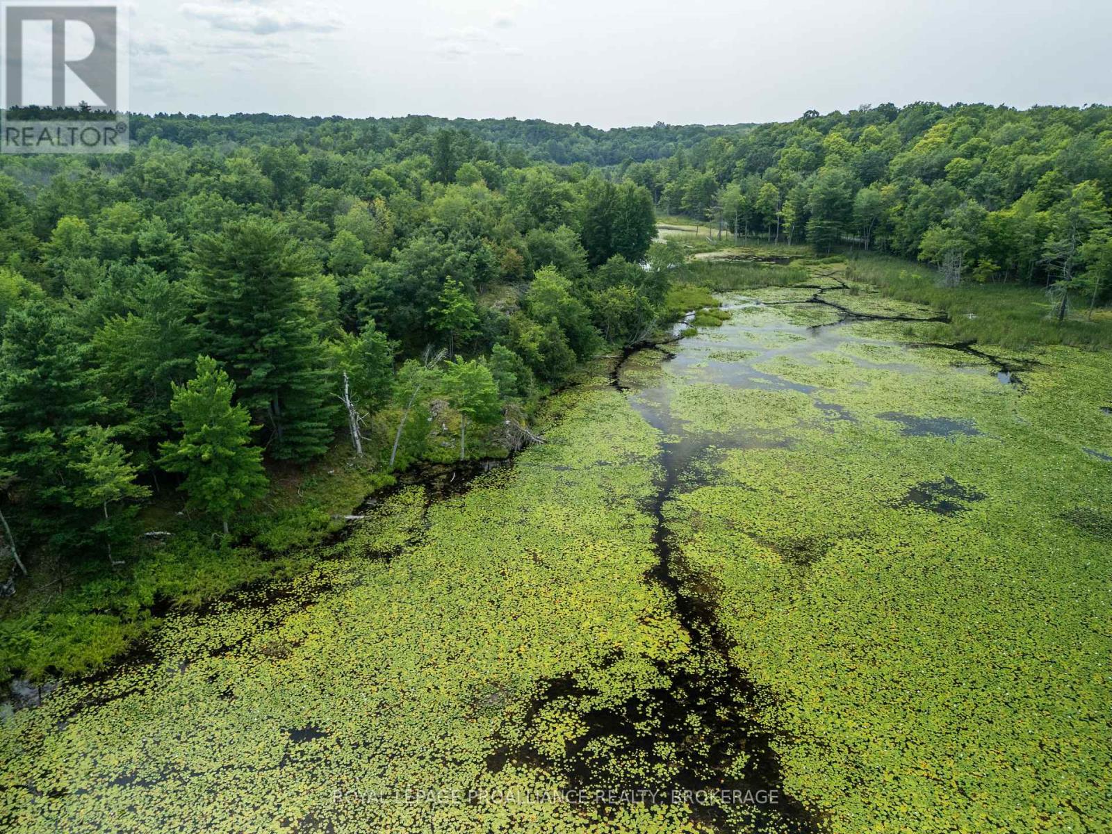 Lot 11 Ritz Road, Rideau Lakes, Ontario  K0G 1E0 - Photo 28 - X11928845