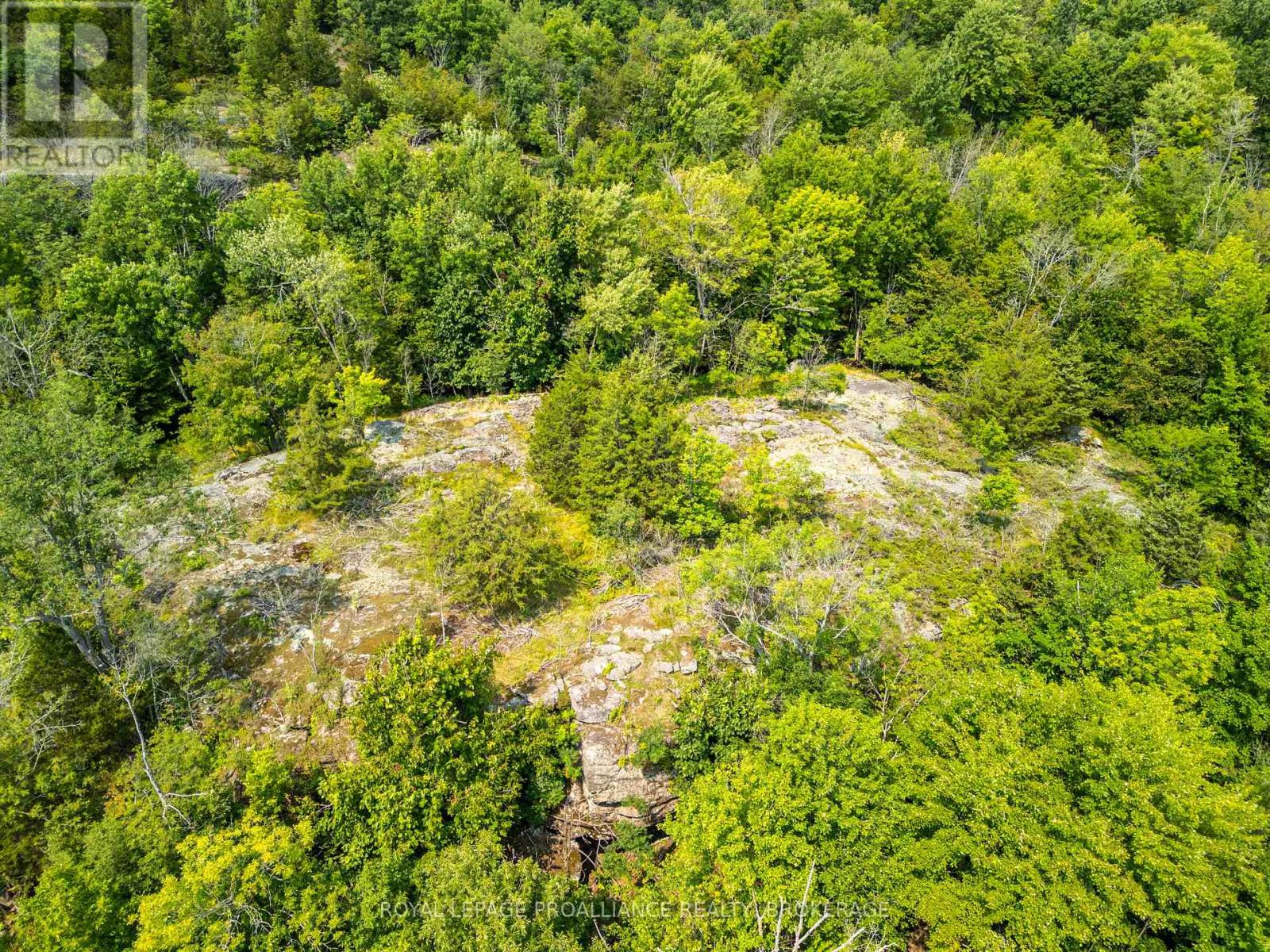 Lot 11 Ritz Road, Rideau Lakes, Ontario  K0G 1E0 - Photo 6 - X11928845