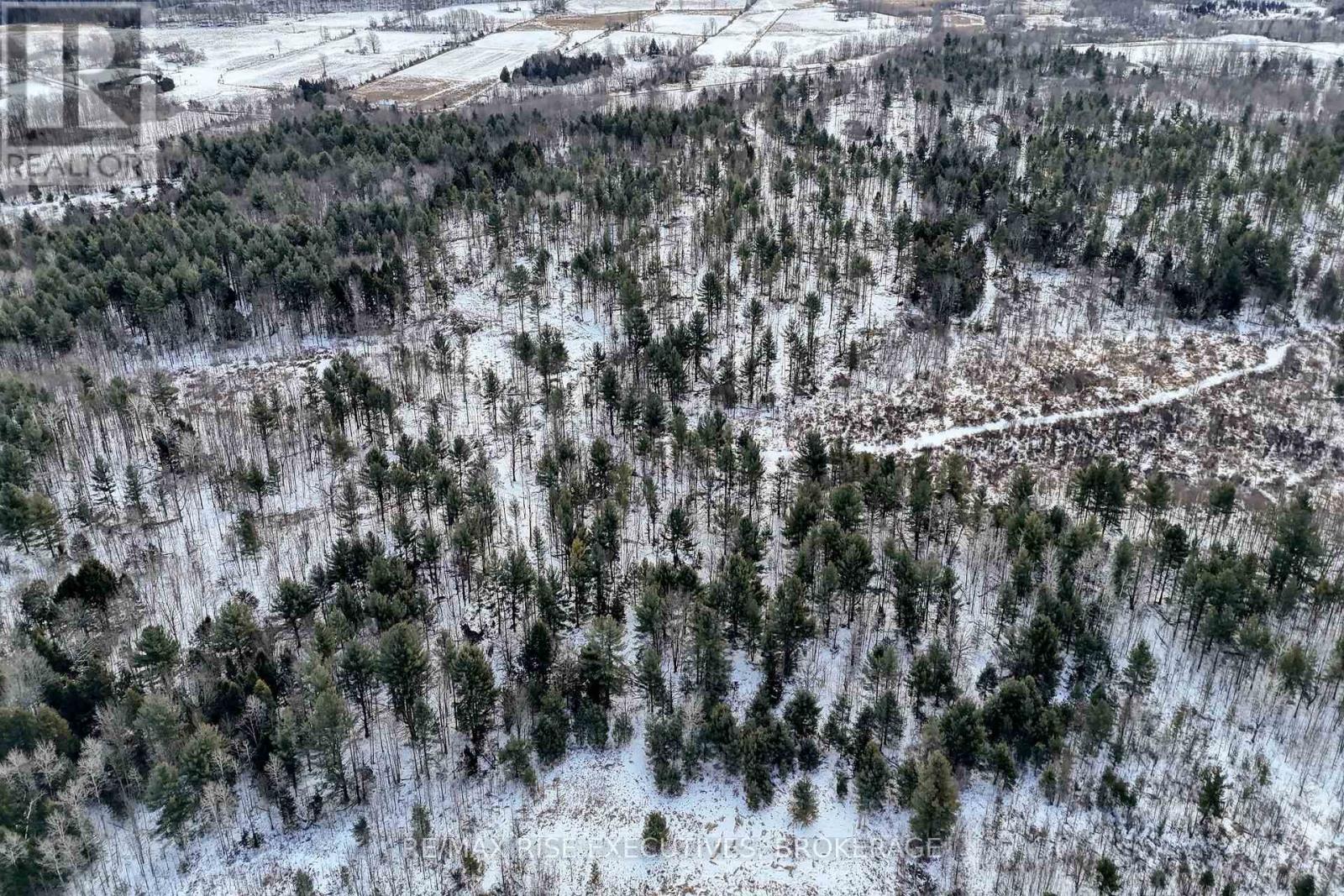 Ptlt 26 Hartsgravel Road, Rideau Lakes, Ontario  K0G 1E0 - Photo 9 - X11931316